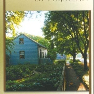 The Harmonist at Nightfall